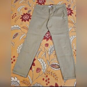 Dressbarn Taupe Pants